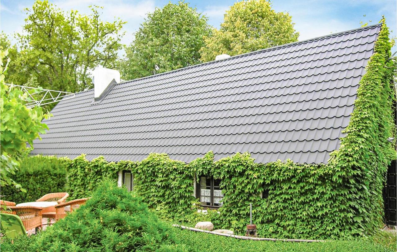 Awesome Home In Pleszew With Wifi Zawidowice Eksteriør billede